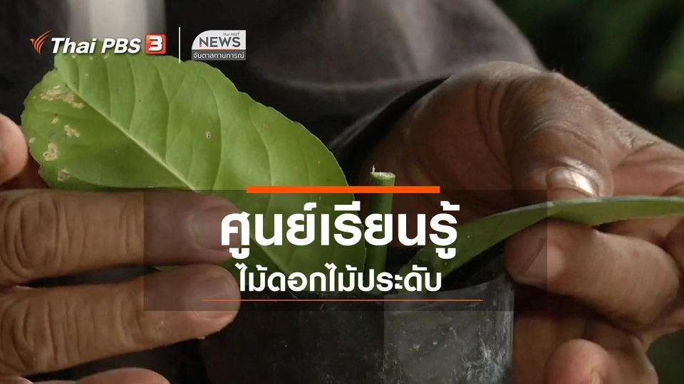 ตะลุยทั่วไทย : ศูนย์เรียนรู้ไม้ดอกไม้ประดับ