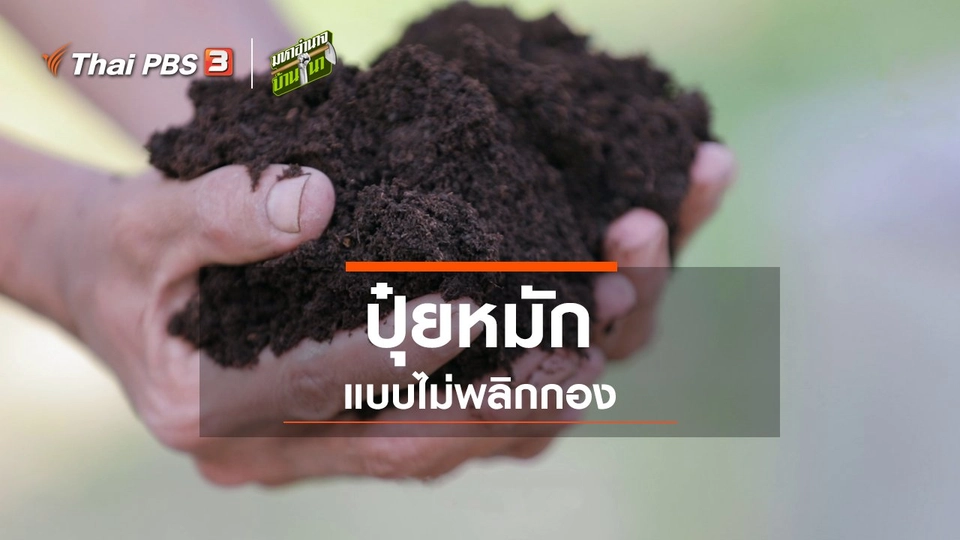 ​สูตรลับฉบับบ้านนา : ปุ๋ยหมักแบบไม่พลิกกอง