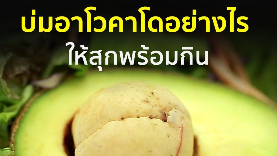 บ่มอาโวคาโดอย่างไรให้สุกพร้อมกิน