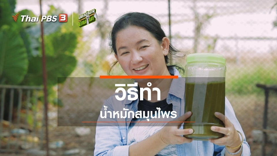 สูตรลับฉบับบ้านนา : วิธีทำน้ำหมักสมุนไพร