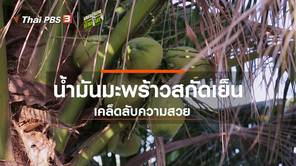 น้ำมันมะพร้าวสกัดเย็น เคล็ดลับความสวย