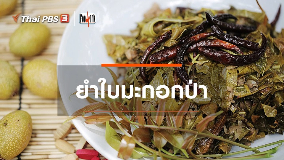 ยำใบมะกอกป่า