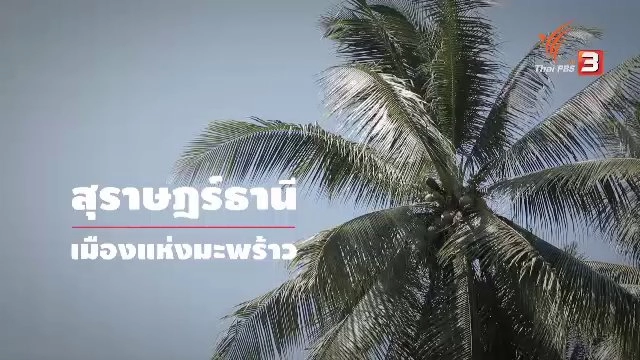 สุราษฎร์ธานี - เมืองแห่งมะพร้าว