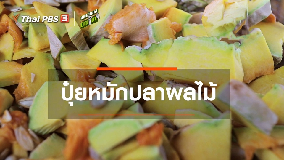 สูตรลับฉบับบ้านนา : ปุ๋ยหมักปลาผลไม้