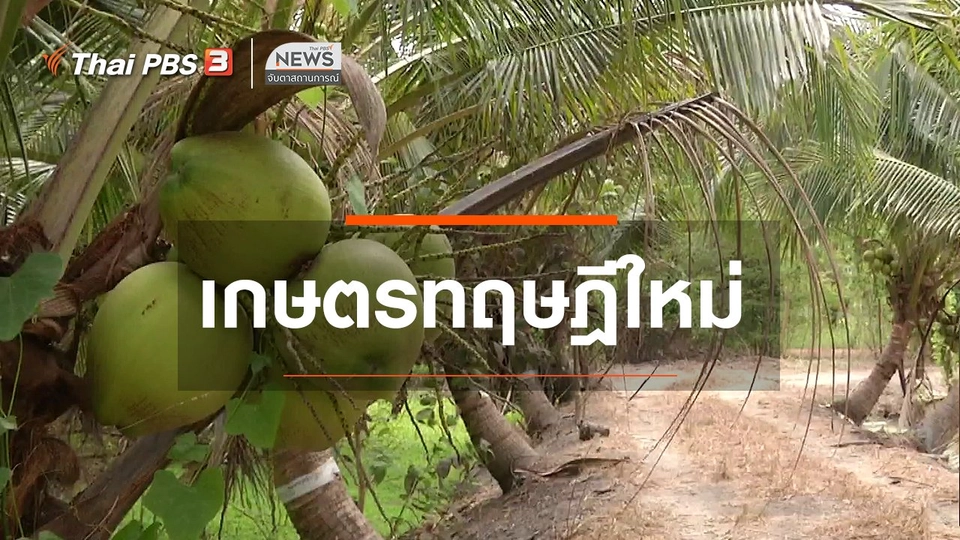 ตะลุยทั่วไทย : เกษตรทฤษฎีใหม่