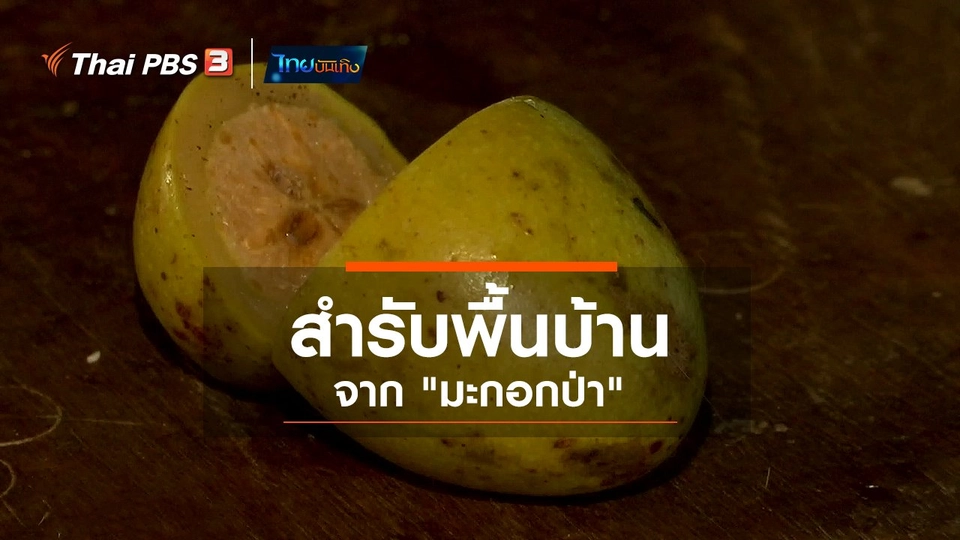 ​อิ่มมนต์รส : สำรับพื้นบ้านจาก "มะกอกป่า"