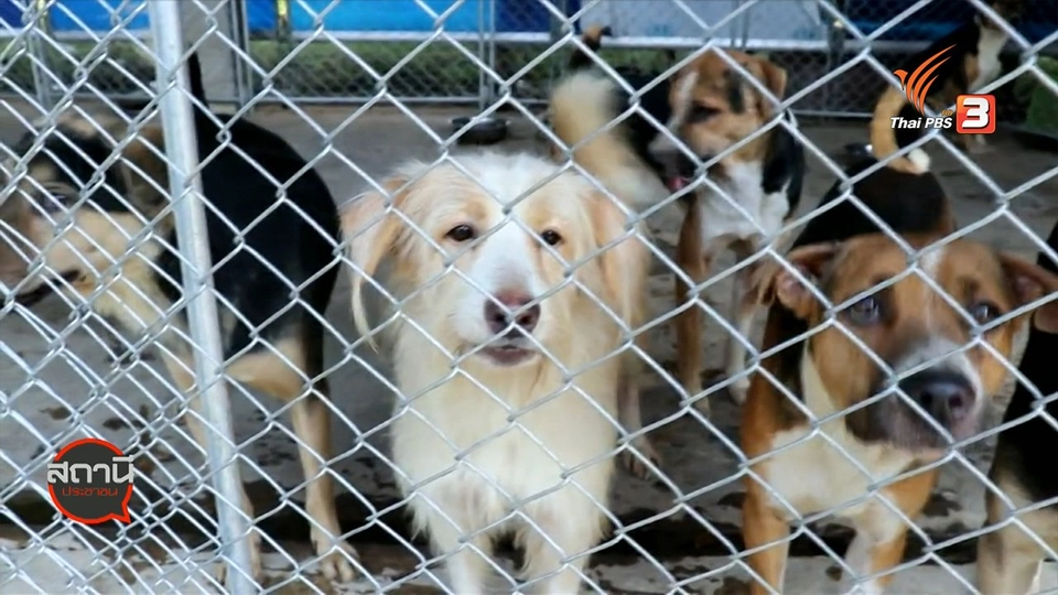 สถานีร้องเรียน : ร้องกระทรวงเกษตรฯ จัดสรรงบฯ ก่อสร้างโรงเรือนพักสัตว์ป่วยและสัตว์ของกลาง