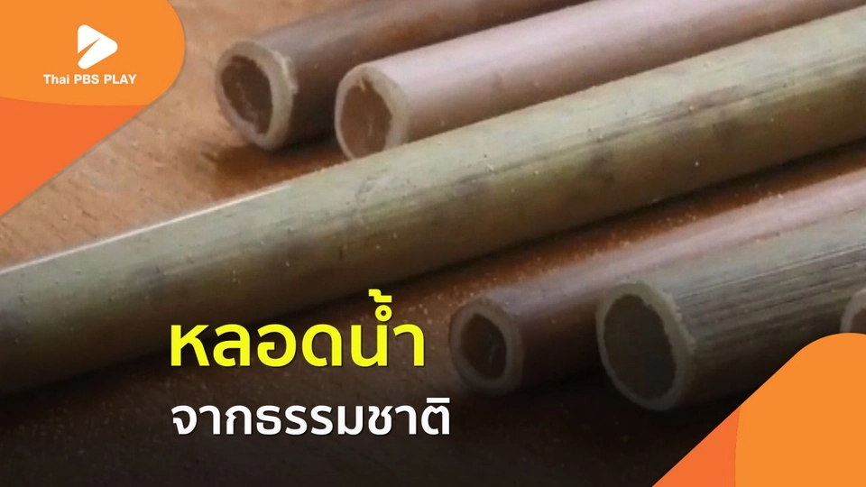 ลดการใช้พลาสติก ด้วยหลอดน้ำจากธรรมชาติ