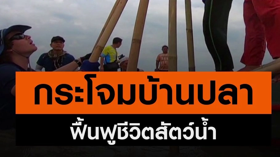 "กระโจมบ้านปลา" แหล่งอนุบาลชีวิตสัตว์น้ำ