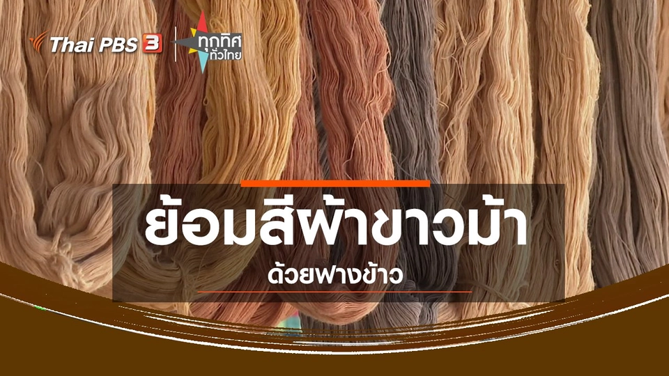 ​ชุมชนทั่วไทย : ย้อมสีผ้าขาวม้าด้วยฟางข้าว