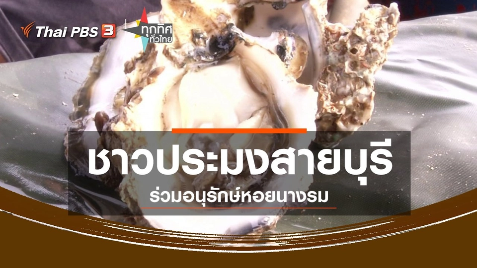 ​ชุมชนทั่วไทย : ชาวประมงสายบุรีร่วมอนุรักษ์หอยนางรม