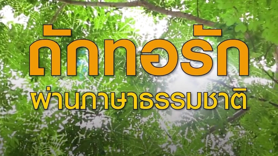 ถักทอรัก ผ่านภาษาธรรมชาติ