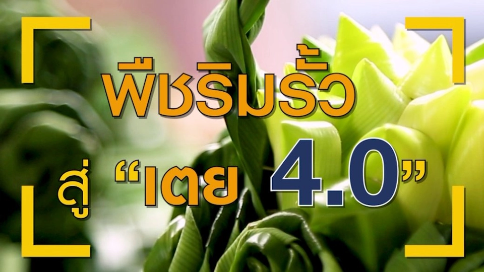 จาก “พืชริมรั้วโรงเรียน" สู่การเรียนรู้แบบ STEM