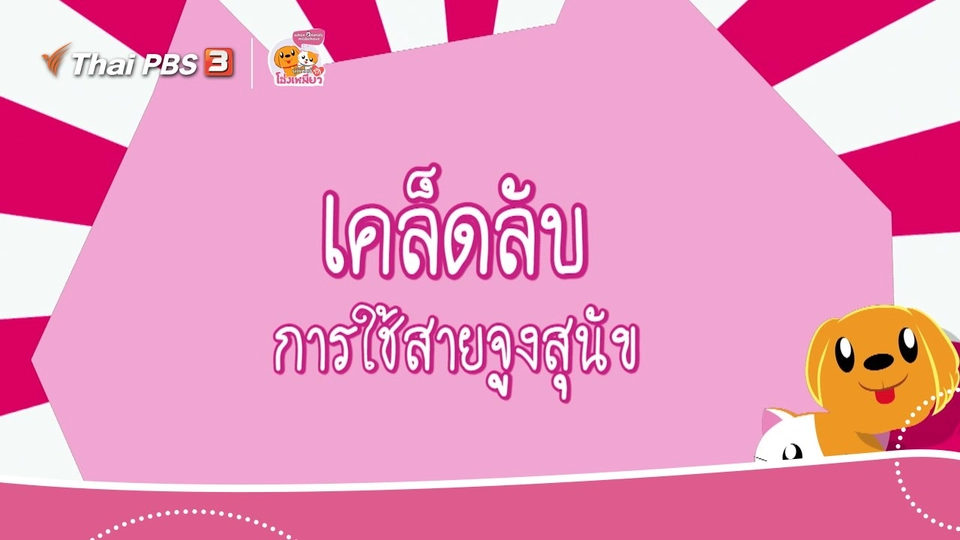 ​เคล็ดไม่ลับดูแลโฮ่งเหมียว : เคล็ดลับการใช้สายจูงสุนัข