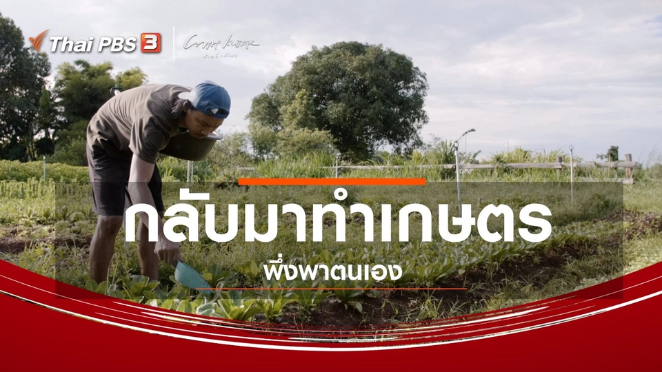 เรื่องเล่าคนกลับบ้าน : กลับมาทำเกษตรพึ่งพาตนเอง