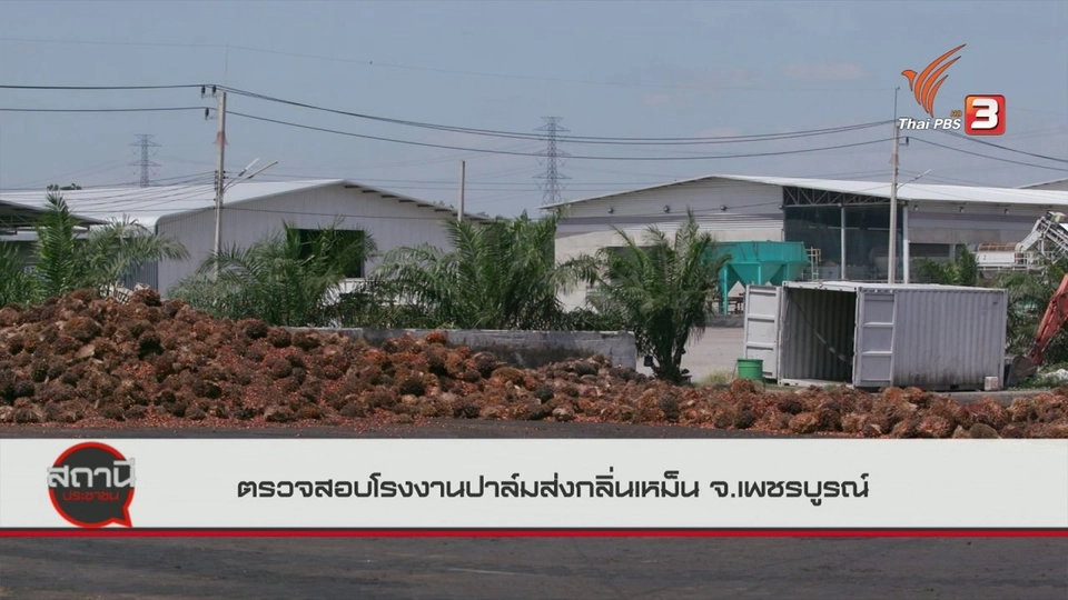 ​สถานีร้องเรียน : ตรวจสอบโรงงานปาล์มส่งกลิ่นเหม็น จ.เพชรบูรณ์