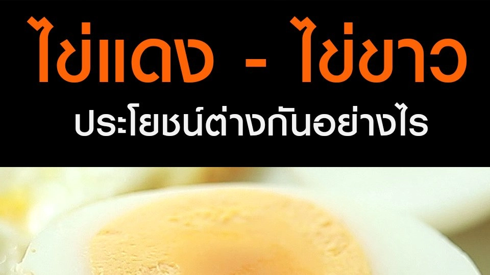 ไข่แดง - ไข่ขาว  ประโยชน์ต่างกันอย่างไร