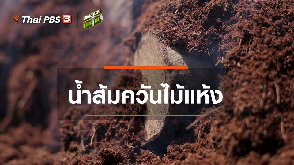 สูตรลับฉบับบ้านนา : น้ำส้มควันไม้แห้ง