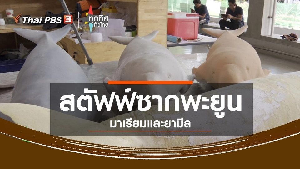 ชุมชนทั่วไทย : สตัฟฟ์ซากพะยูนมาเรียมและยามีล