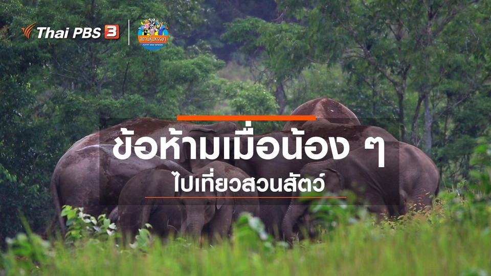 หุ่นเล่าข่าว : ข้อห้ามเมื่อน้อง ๆ ไปเที่ยวสวนสัตว์