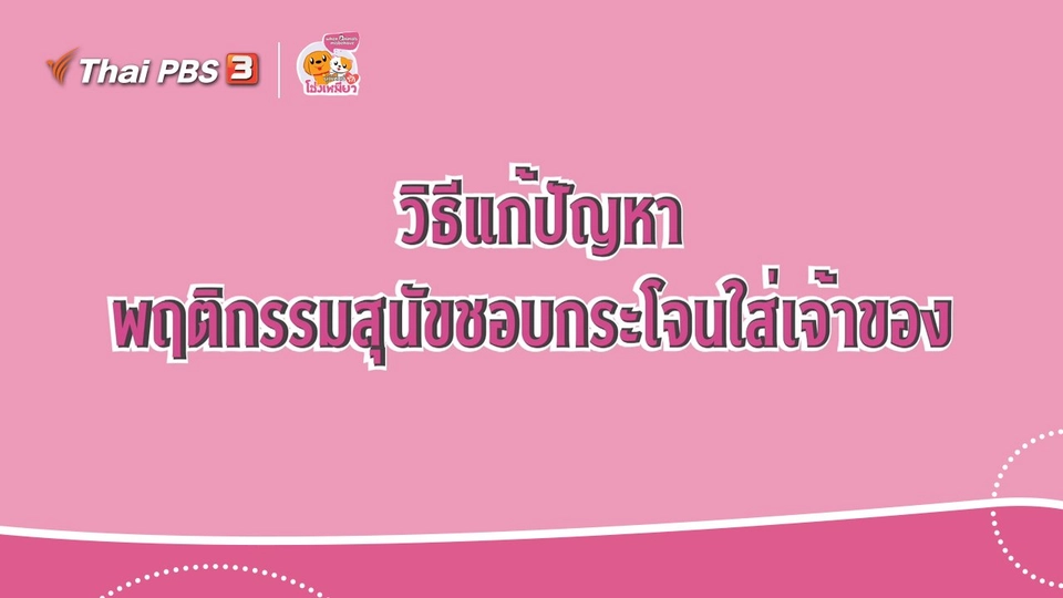 เคล็ดไม่ลับดูแลโฮ่งเหมียว : วิธีแก้ปัญหาพฤติกรรมสุนัขชอบกระโจนใส่เจ้าของ