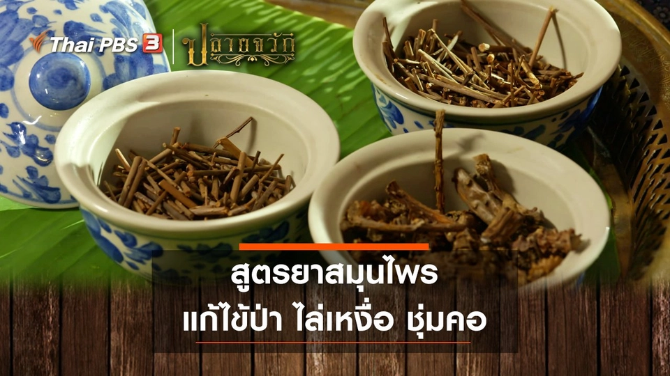 สูตรยาสมุนไพร แก้ไข้ป่า ไล่เหงื่อ ชุ่มคอ