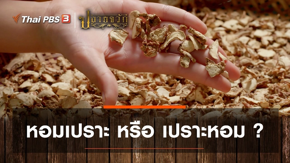 หอมเปราะ หรือ เปราะหอม?