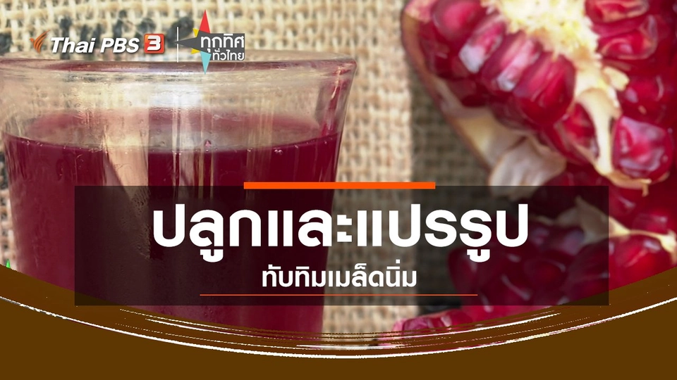 อาชีพทั่วไทย : ปลูกและแปรรูปทับทิมเมล็ดนิ่ม