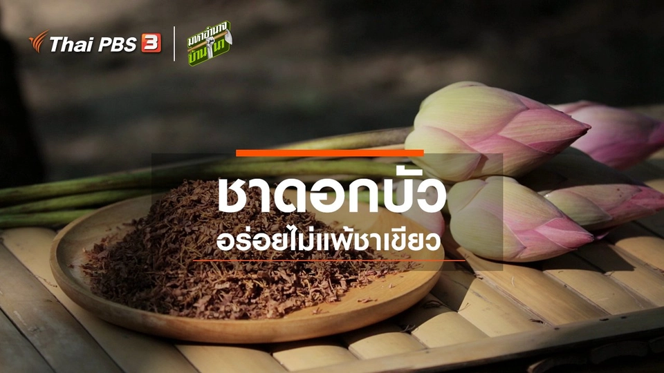 สูตรลับฉบับบ้านนา : ชาจากดอกบัว