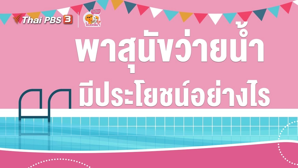 เคล็ดไม่ลับดูแลโฮ่งเหมียว : พาสุนัขว่ายน้ำ มีประโยชน์อย่างไร