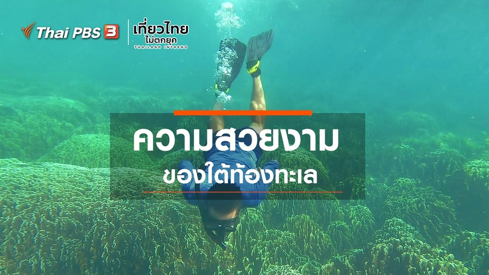 เที่ยวทั่วไทย : ความสวยงามของใต้ท้องทะเล