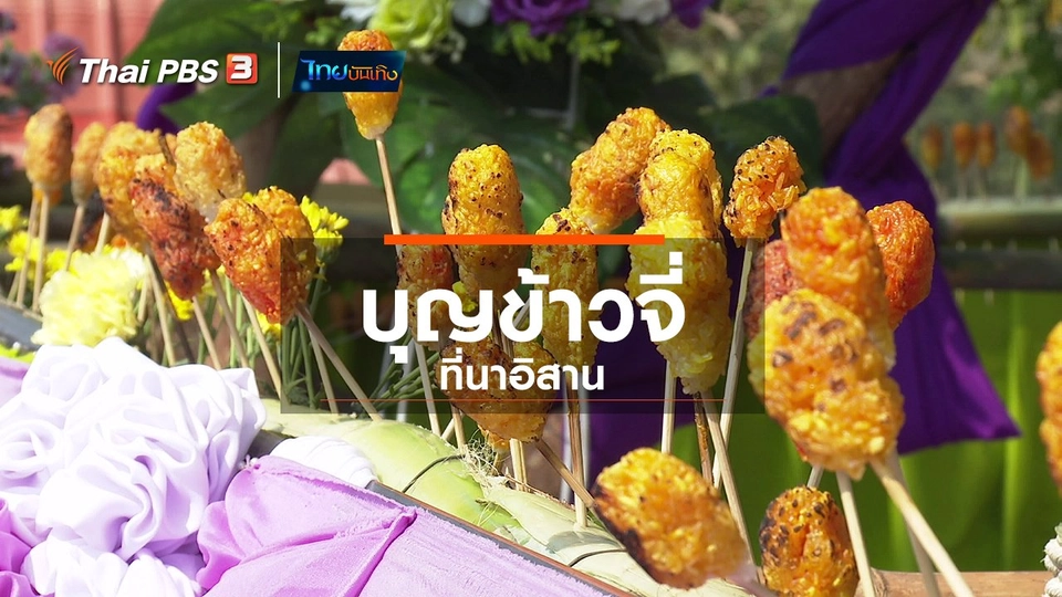 เรื่องนี้มีตำนาน : บุญข้าวจี่ที่นาอิสาน
