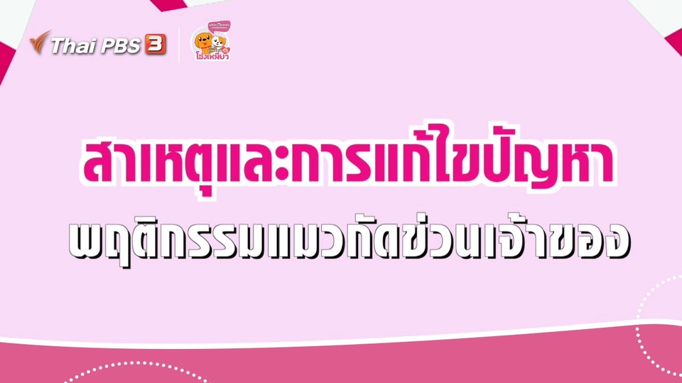 เคล็ดไม่ลับดูแลโฮ่งเหมียว : สาเหตุและการแก้ไขแมวกัดข่วนเจ้าของ