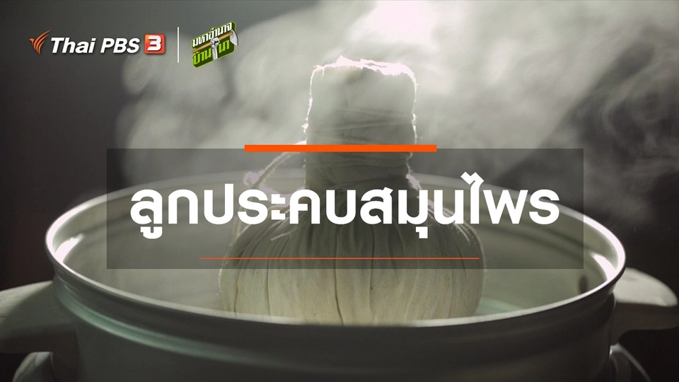 สูตรลับออนไลน์ : ลูกประคบสมุนไพร