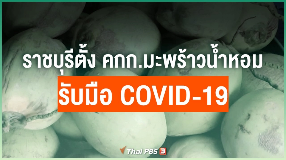 ราชบุรีตั้งคณะกรรมการมะพร้าวน้ำหอมรับมือ COVID-19