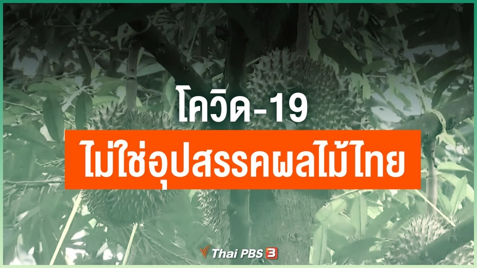 โควิด-19 ไม่ใช่อุปสรรคผลไม้ไทย