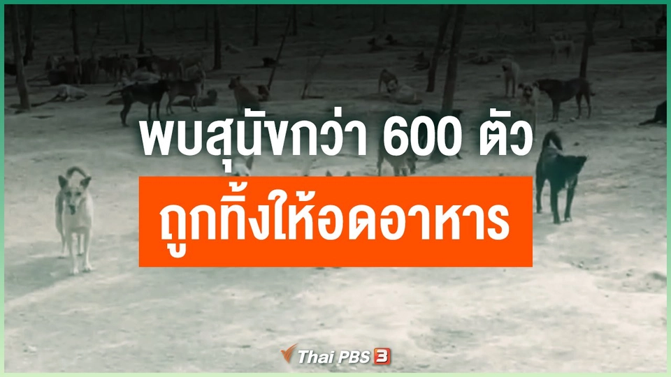 พบสุนัขกว่า 600 ตัว ถูกทิ้งให้อดอาหาร