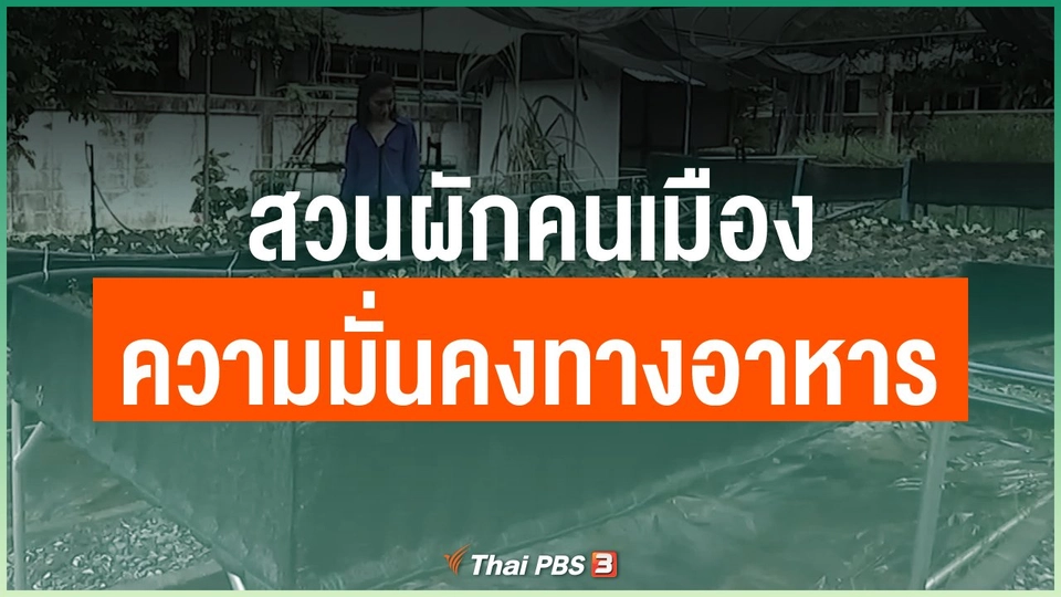 สวนผักคนเมือง ความมั่นคงทางอาหารของคนกรุง