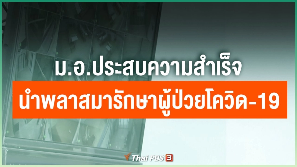​ม.อ.ประสบความสำเร็จนำพลาสมารักษาผู้ป่วยโควิด-19