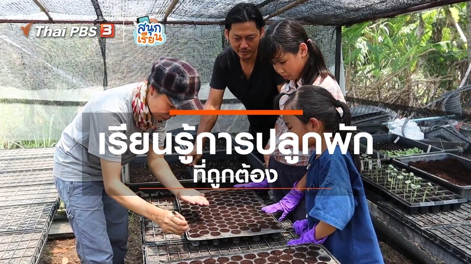 ​วิชาประสบการณ์ชีวิต : เรียนรู้การปลูกผักที่ถูกต้อง
