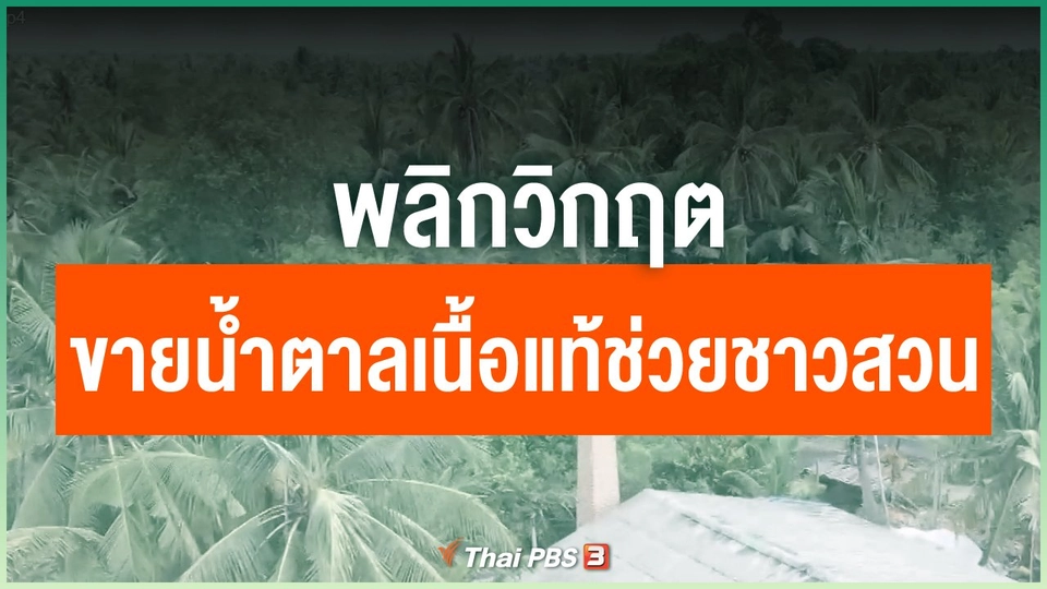 พลิกวิกฤต ขายน้ำตาลเนื้อแท้ช่วยชาวสวน