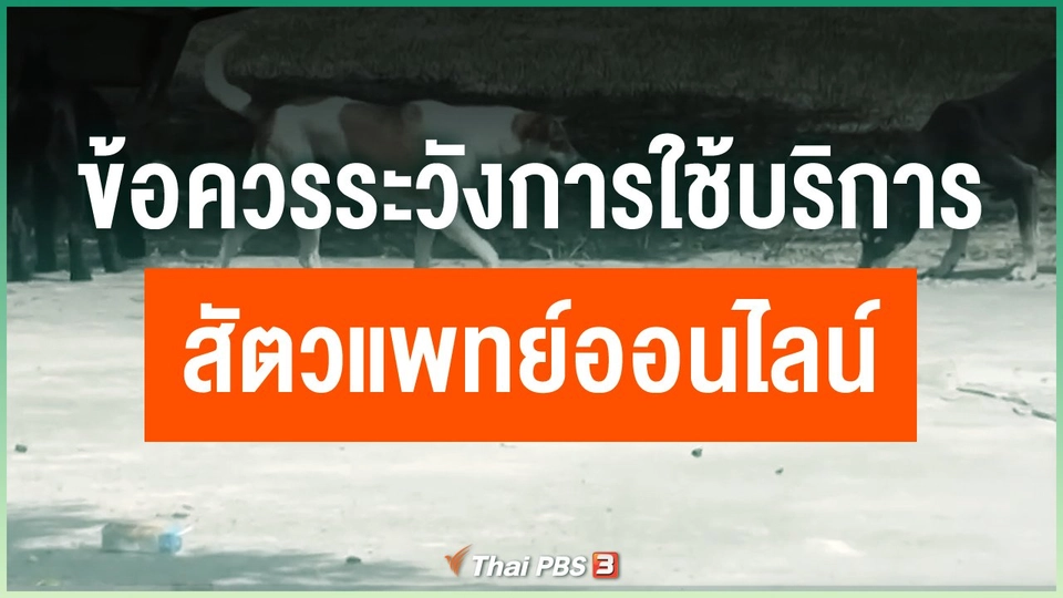 ข้อควรระวังการใช้บริการสัตวแพทย์ออนไลน์