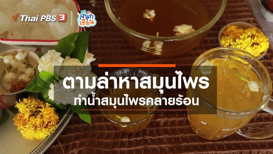 วิชาประสบการณ์ชีวิต : ตามล่าหาสมุนไพร ทำน้ำสมุนไพรคลายร้อน