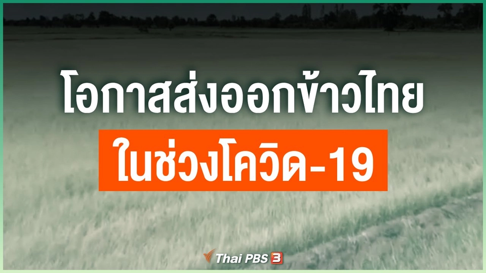 โอกาสส่งออกข้าวไทยในช่วงโควิด-19