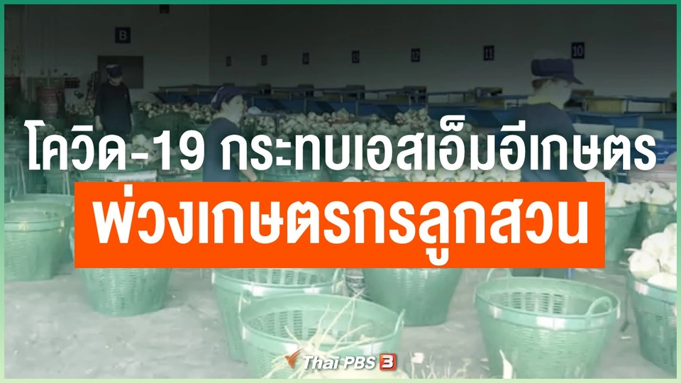 โควิด-19 กระทบเอสเอ็มอีเกษตรพ่วงเกษตรกรลูกสวน