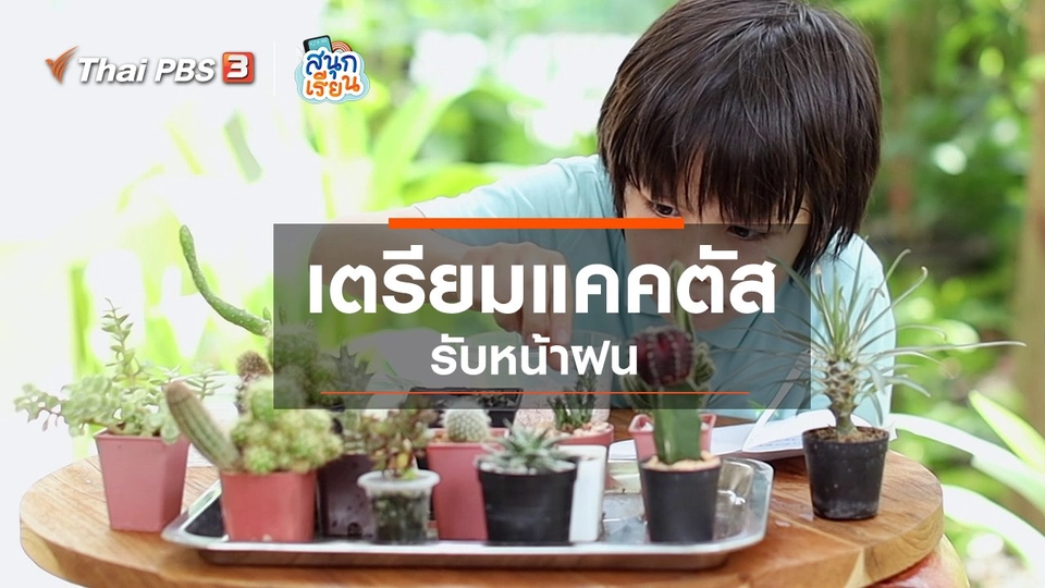 ​วิชาชีวิตประสบการณ์ชีวิต : เตรียมแคคตัสรับหน้าฝน