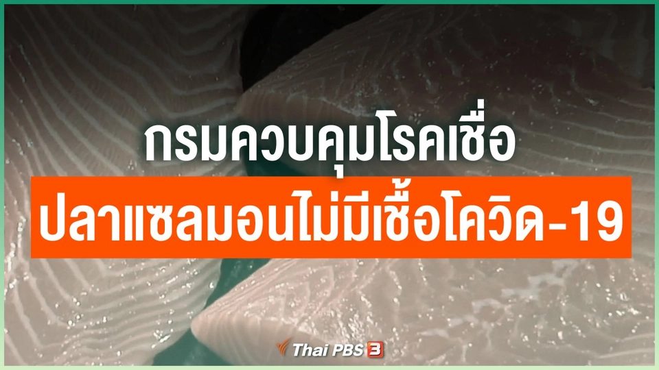 กรมควบคุมโรคเชื่อปลาแซลมอนไม่มีเชื้อโควิด-19