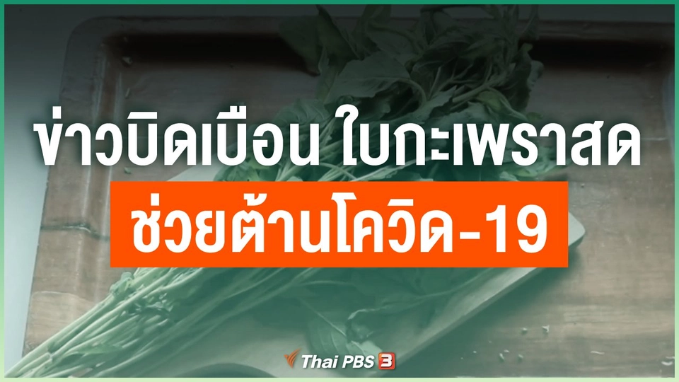 ข่าวบิดเบือน ใบกะเพราสดช่วยต้านโควิด-19