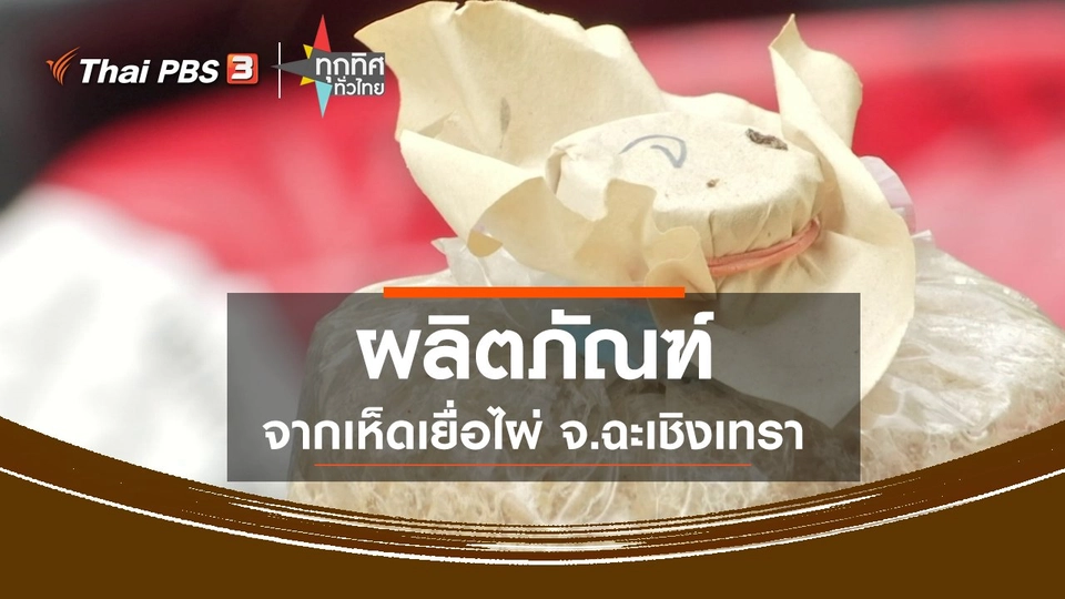 ผลิตภัณฑ์จากเห็ดเยื่อไผ่ จ.ฉะเชิงเทรา