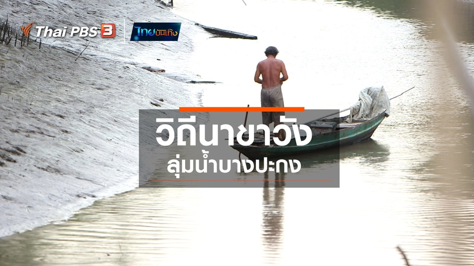 ​อิ่มมนต์รส : วิถีนาขาวังลุ่มน้ำบางปะกง